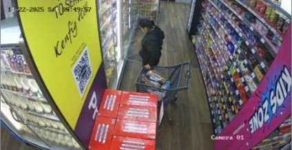 golocalrecreation Cam 14