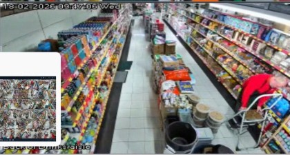 ingatestone Cam 14