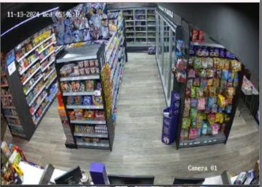 nisa-faveersham Cam 4