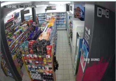 nisa-royston Cam 8